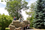 0783 Hay Ride.jpg
