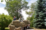 0784 Hay Ride.jpg