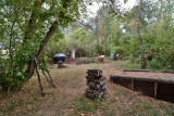 1222 clearing brush project.jpg