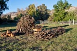 1297 BBQ expansion.jpg