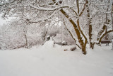 1720 Snow Dec 22 2015.jpg