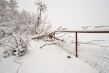 1721 Snow Dec 22 2015.jpg