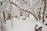 1722 Snow Dec 22 2015.jpg