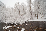 1725 Snow Dec 22 2015.jpg