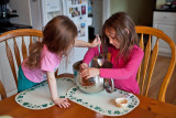 1911 Sage and Harper Jan 2016.jpg