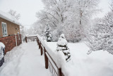 1952 Snow Jan 30 2016.jpg