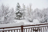 1953 Snow Jan 30 2016.jpg