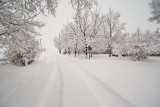 1960 Snow Jan 30 2016.jpg