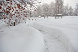 1962 Snow Jan 31 2016.jpg