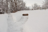 1965 Snow Jan 31 2016.jpg