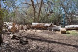 2186 splitting wood.jpg