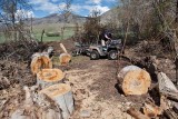 2191 splitting wood.jpg