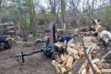 2206 splitting wood.jpg
