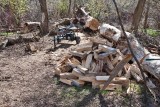 2215 splitting wood.jpg