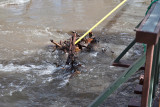 2223 Raging waters 4 16 16.jpg