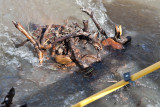 2224 Raging waters 4 16 16.jpg