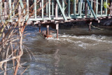 2238 Raging waters 4 16 16.jpg