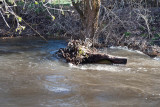 2239 Raging waters 4 16 16.jpg