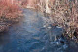 2243 Raging waters 4 16 16.jpg