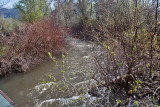 2261 River and cleanup.jpg