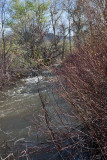 2263 River and cleanup.jpg