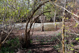2276 River and cleanup.jpg