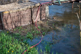 2283 River and cleanup.jpg