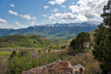 2419 South Canyon.jpg