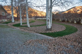 3111 kids in leaves.jpg