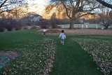 3113 kids in leaves.jpg