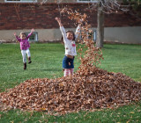 3150 kids in leaves.jpg