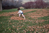 3155 kids in leaves.jpg