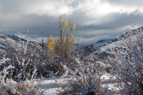 3163 First snow day.jpg