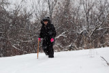 3190 Jackie walking snow.jpg