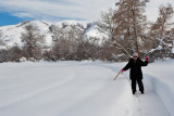 3226 Jackie walking snow.jpg