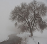 3299 Foggy 2017.jpg