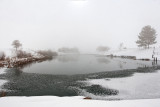 3302 Foggy 2017.jpg