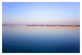 ptown2015