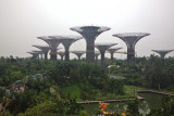 Gardens by the bay