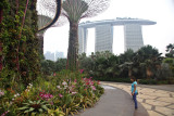 Gardens by the bay