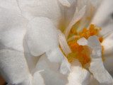 August, 2012