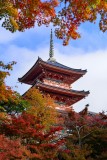 Kiyomizu Temple at Kyoto