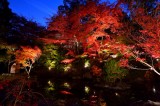Nagaoka Tenman-gu Shrine at Kyoto