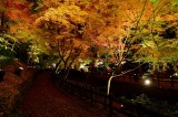 Kitano Tenman-gu Shrine at Kyoto