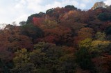 Arashiyama at Kyoto