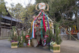 Sagicho Shinji at Ima-kumano Shrine 2014