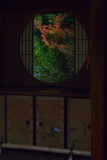 DSC_5499_pb.jpg
