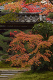 _DSC5973_pb.jpg