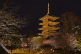 _DSC6587_pb.jpg