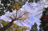 _DSC6742_pb.jpg